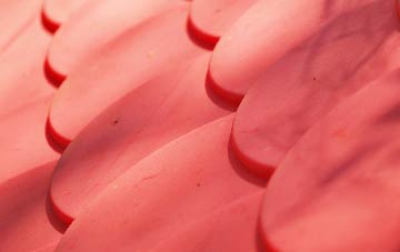 Cogenhoe plastic roof costs